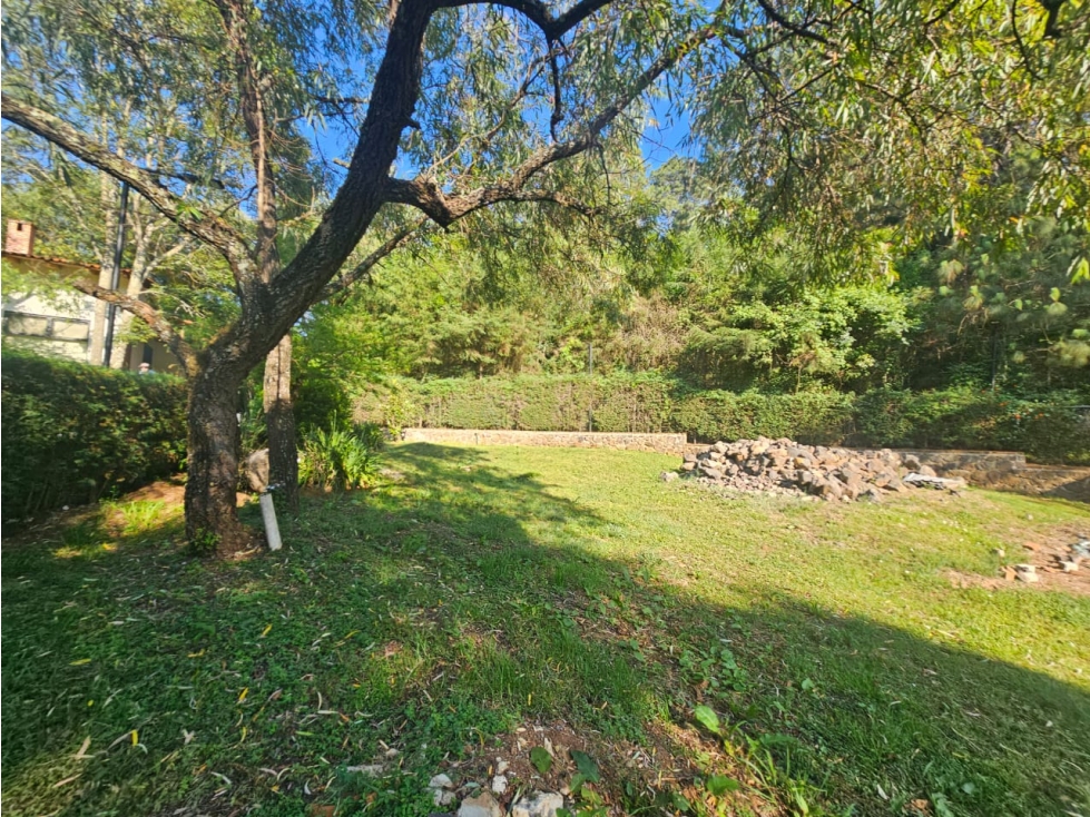 Hermoso terreno en zona centrica de mazamitla con vista al bosque - 1