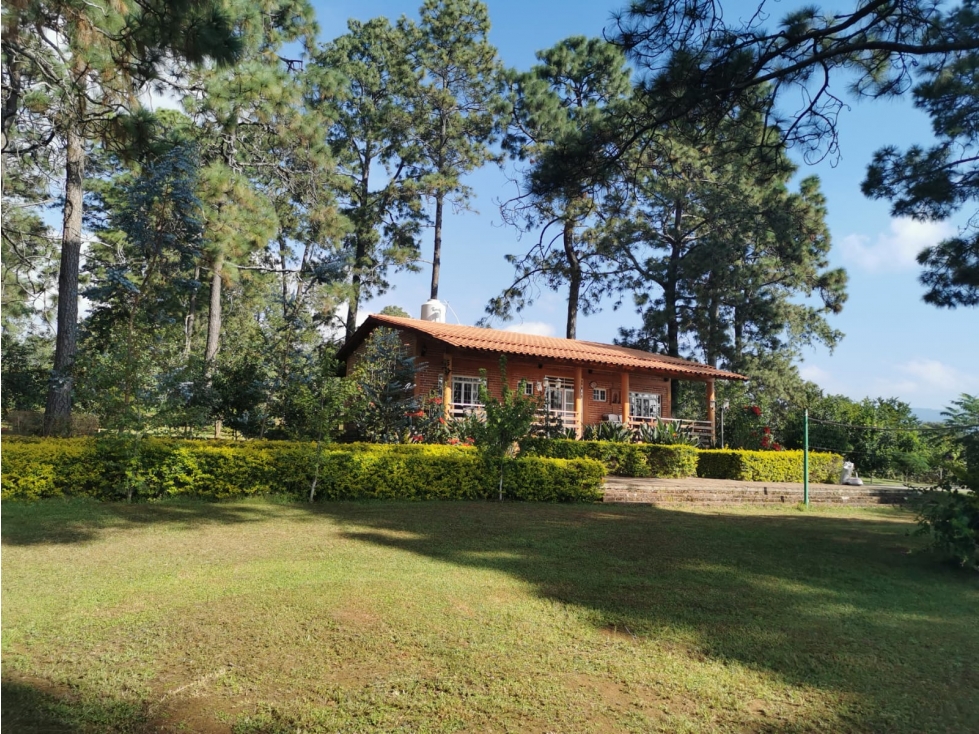 Bonita cabaña con terreno de 4000 m2 en venta en mazamitla jalisco - 2