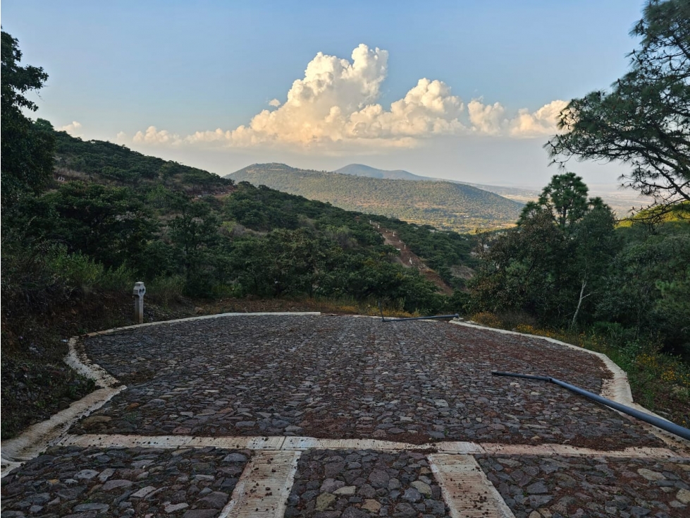 Bonito terreno en zona de bosque de mazamitla jalisco - 4