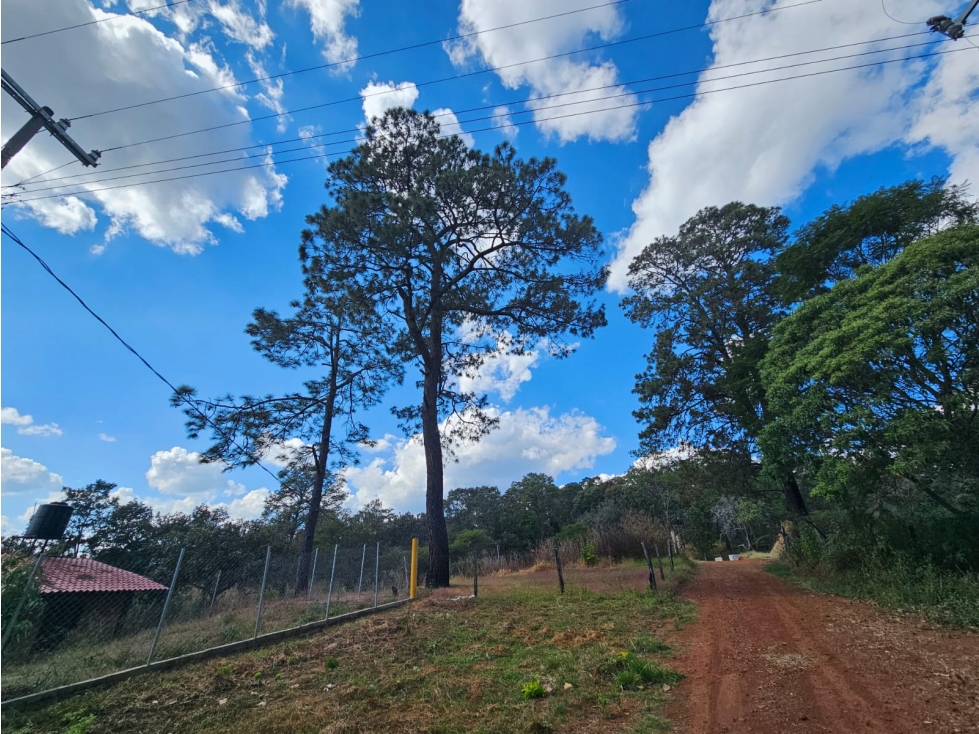 TERRENO EN VENTA EN MAZAMITLA | INVERSIÓN EN ZONA DE BOSQUE - 4