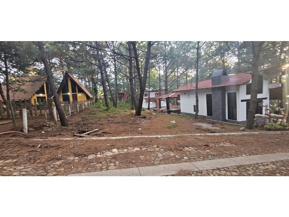 Bonito terreno en zona de bosque de mazamitla jalisco - 3