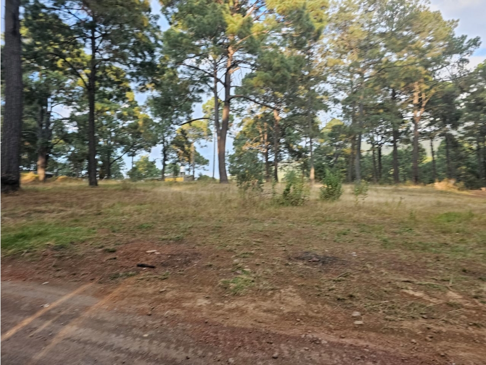 Bonito terreno en zona de bosque de mazamitla jalisco - 4