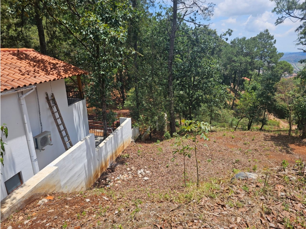Bonito terreno en zona de bosque de mazamitla jalisco - 4