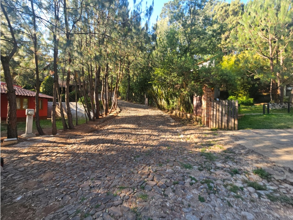 Hermoso terreno en zona centrica de mazamitla con vista al bosque - 4