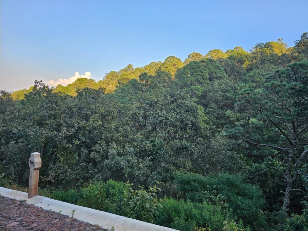 Bonito terreno en zona de bosque de mazamitla jalisco - 5