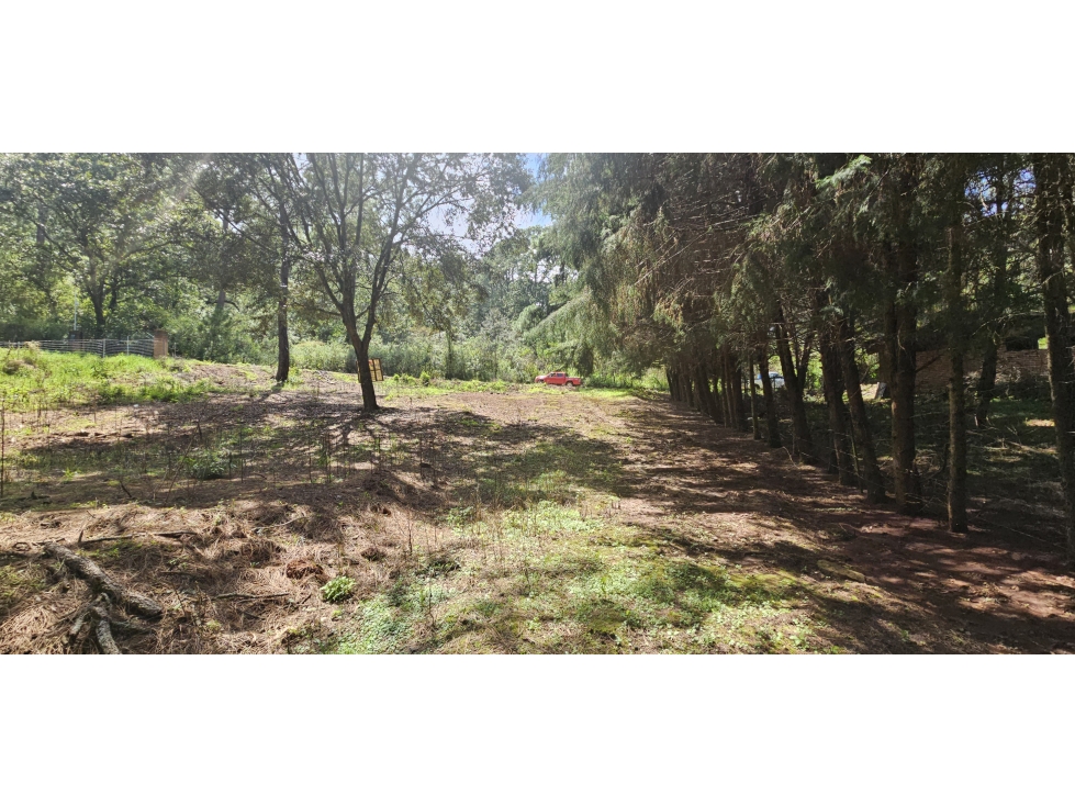 Bonito terreno en zona de bosque de mazamitla jalisco - 5