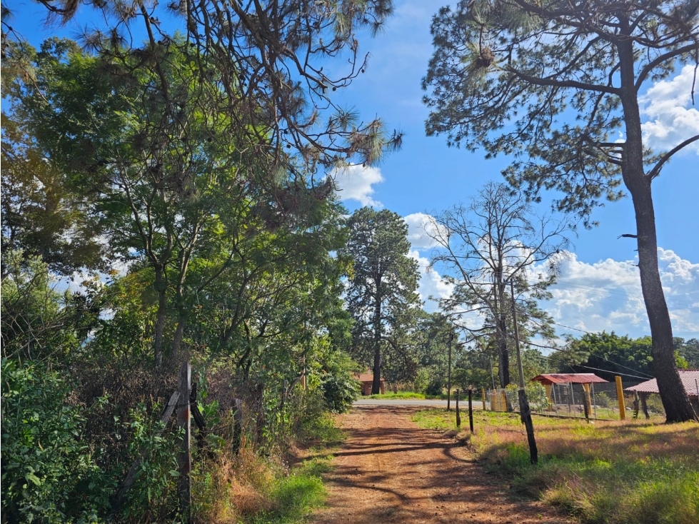 TERRENO EN VENTA EN MAZAMITLA | INVERSIÓN EN ZONA DE BOSQUE - 5