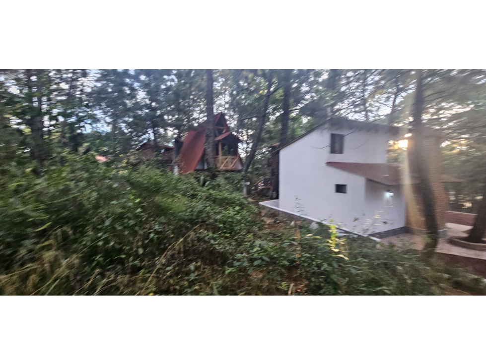 Bonito terreno en zona de bosque de mazamitla jalisco - 4