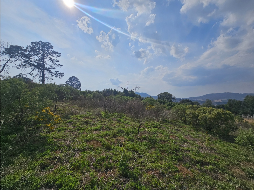Terreno centrico con vista al bosque de Mazamitla jalisco - 5