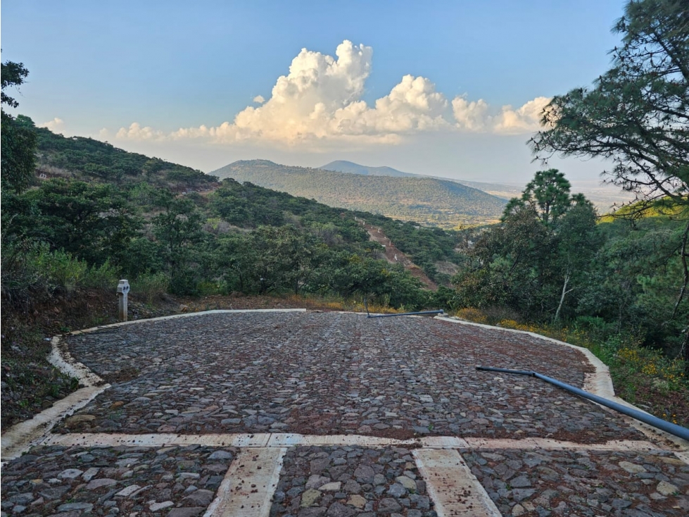 Bonito terreno en zona de bosque de mazamitla jalisco - 6