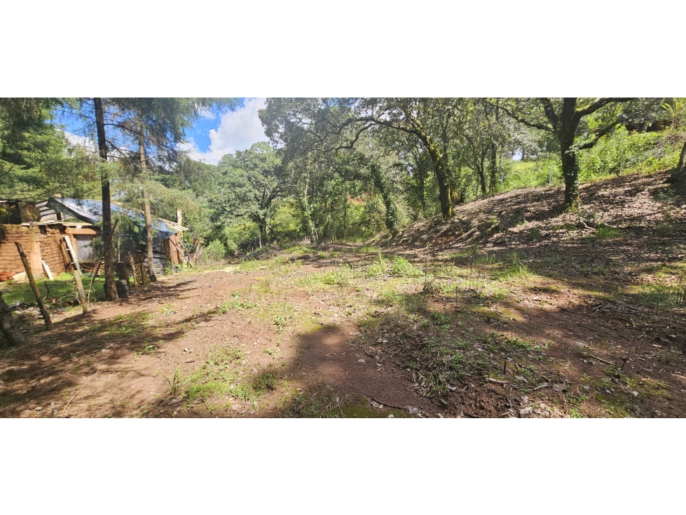 Bonito terreno en zona de bosque de mazamitla jalisco - 6