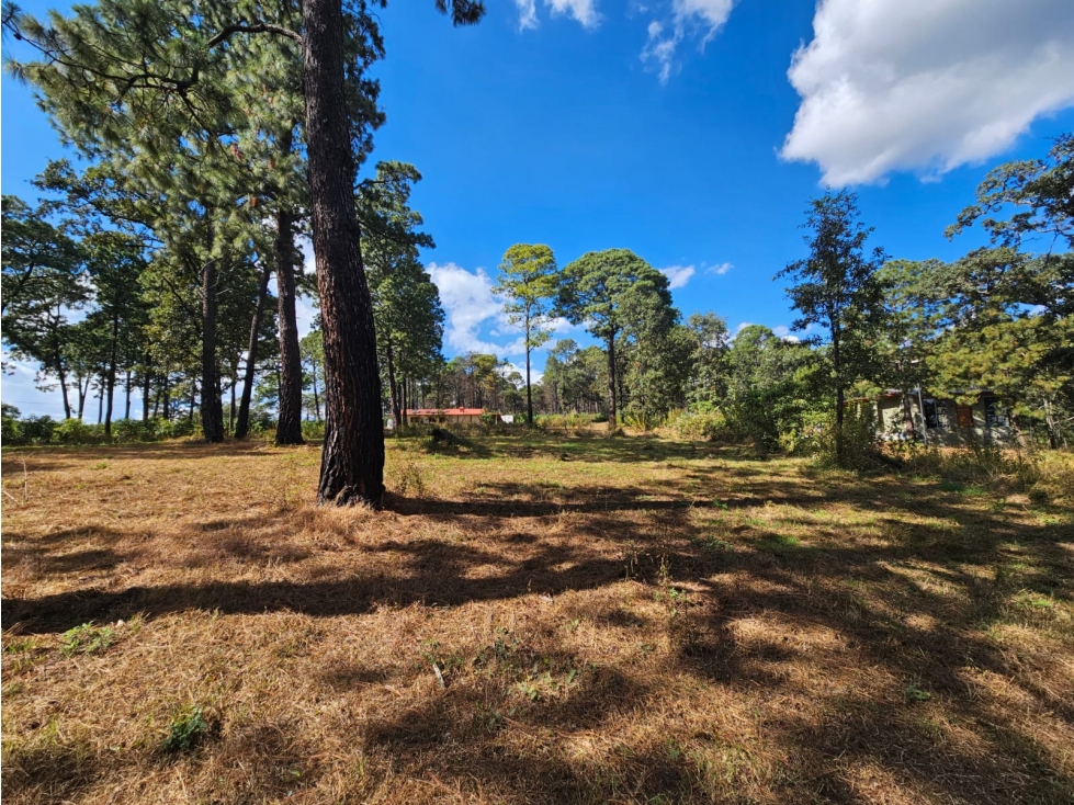 TERRENO EN VENTA EN MAZAMITLA | INVERSIÓN EN ZONA DE BOSQUE - 6
