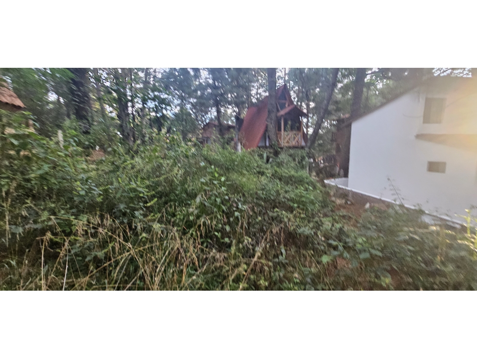 Bonito terreno en zona de bosque de mazamitla jalisco - 5