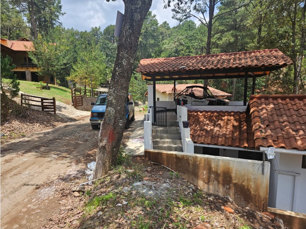 Bonito terreno en zona de bosque de mazamitla jalisco - 6