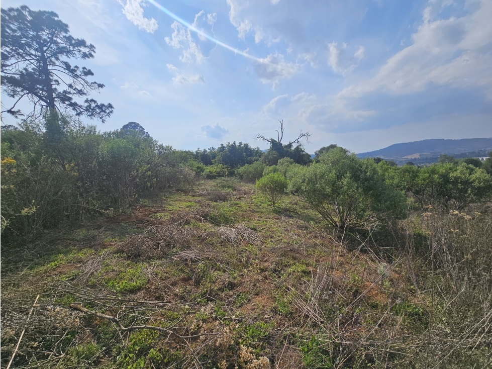 Terreno centrico con vista al bosque de Mazamitla jalisco - 6