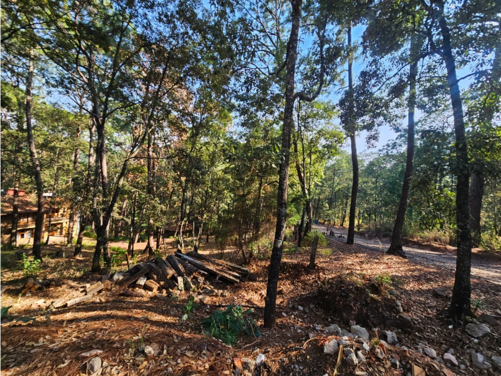 Bonito terreno en zona de bosque con materiales de construccion - 2