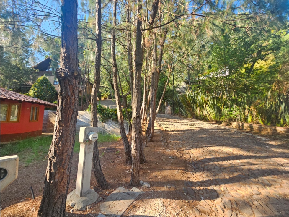 Hermoso terreno en zona centrica de mazamitla con vista al bosque - 6