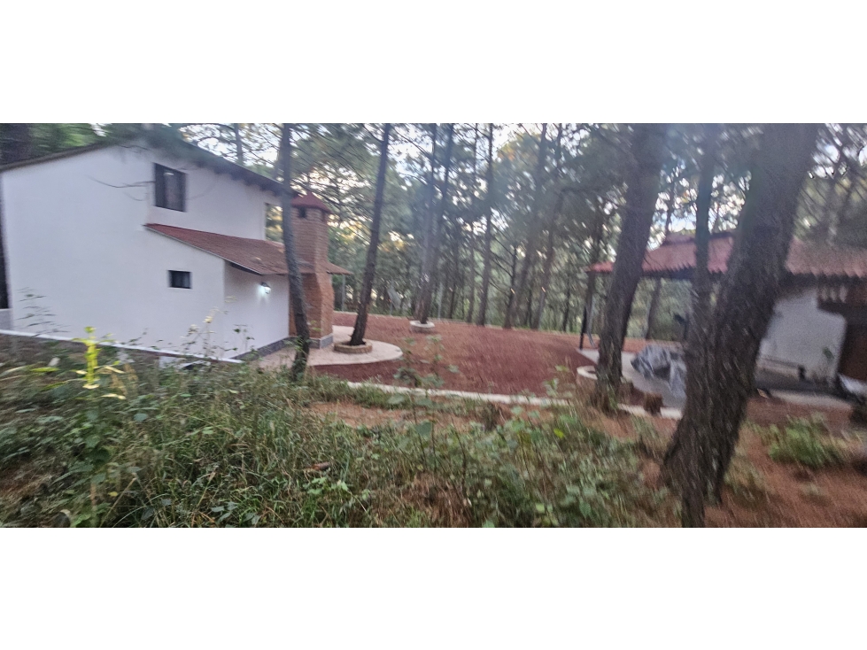 Bonito terreno en zona de bosque de mazamitla jalisco - 6