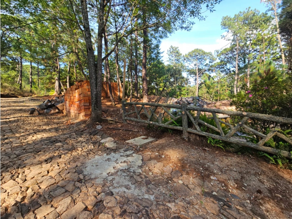 Bonito terreno en zona de bosque con materiales de construccion - 4