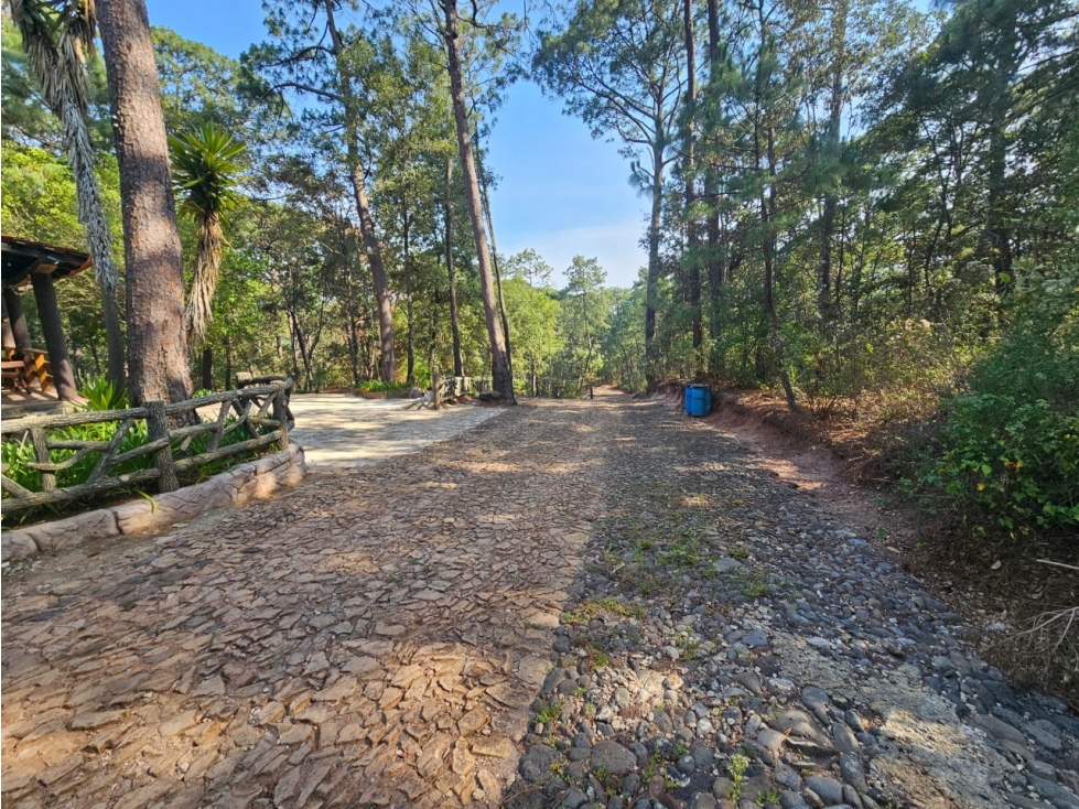 Bonito terreno en zona de bosque con materiales de construccion - 5