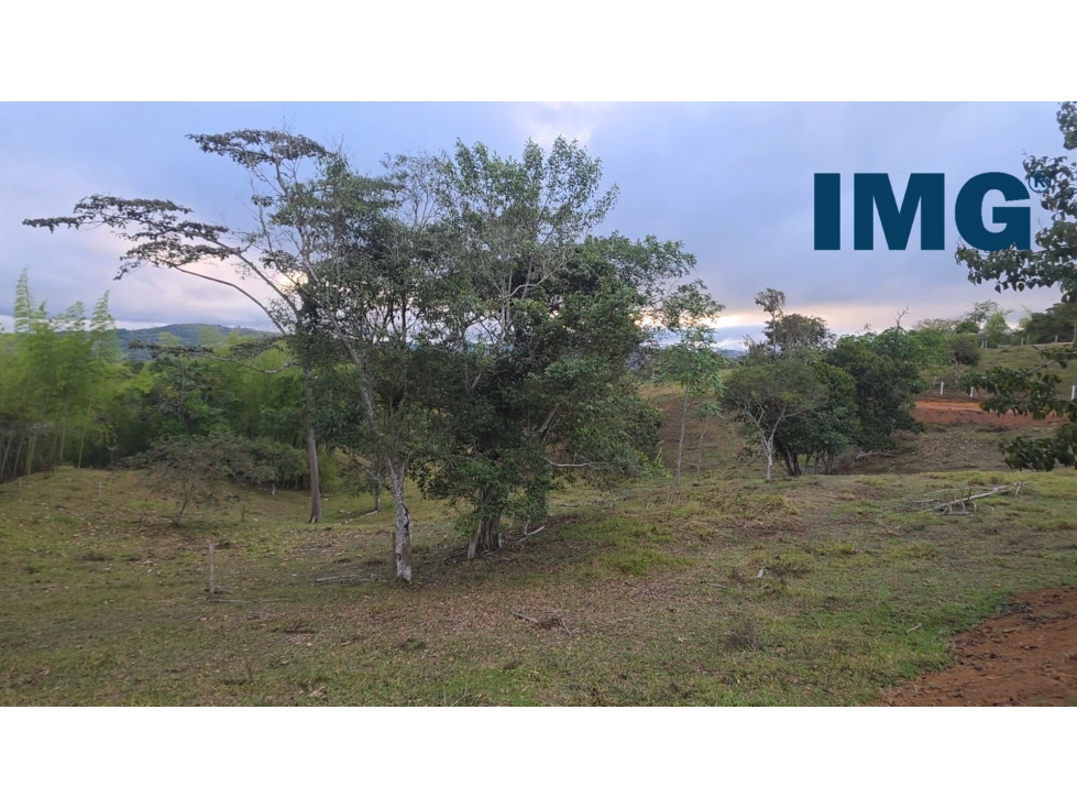 ref 920a guayacanes 3 LOTES CAMPESTRES 3500 M2 LA CUMBRE VALLE - 3