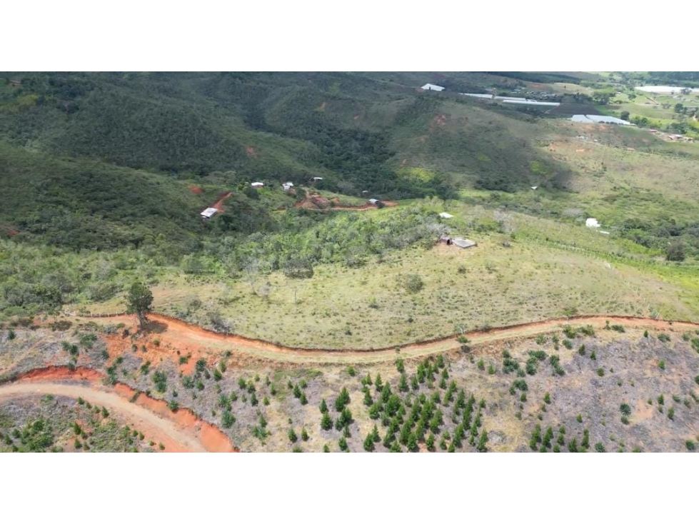 REF # 858A balcón de pavas/ (LETRERO) - 3