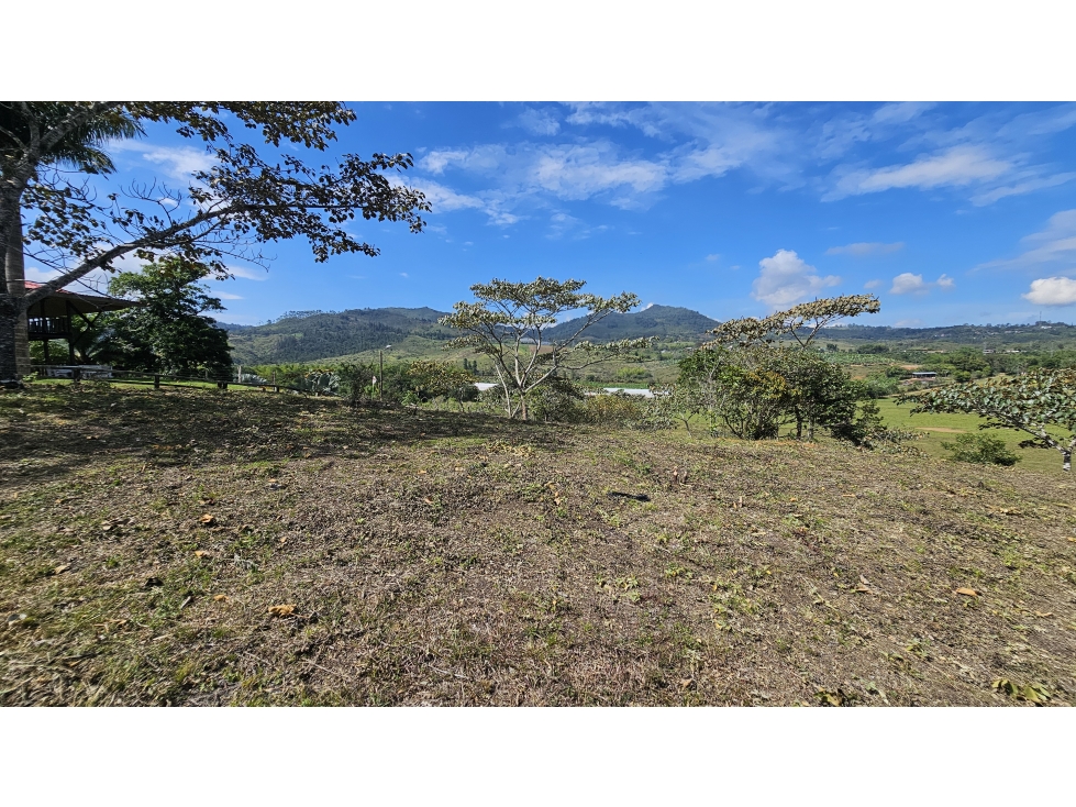 REF # 1037A vendo lotes la cumbre valle vereda pavitas" mirador 1 " - 4