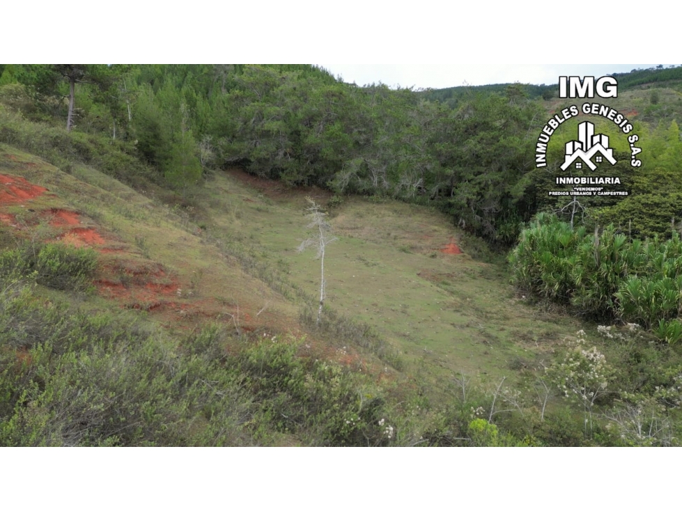 REF # 979A el retiro/pavas/vendo lote campestre - 5