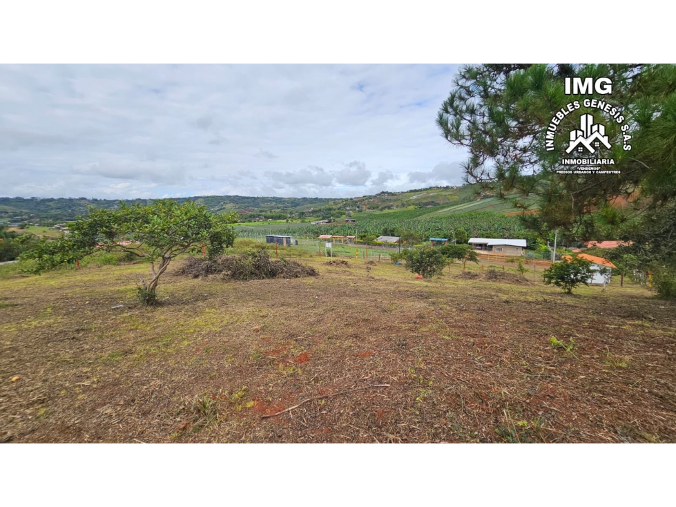 REF # 1038A vendo lote en la cumbre valle pavas el retiro - 6