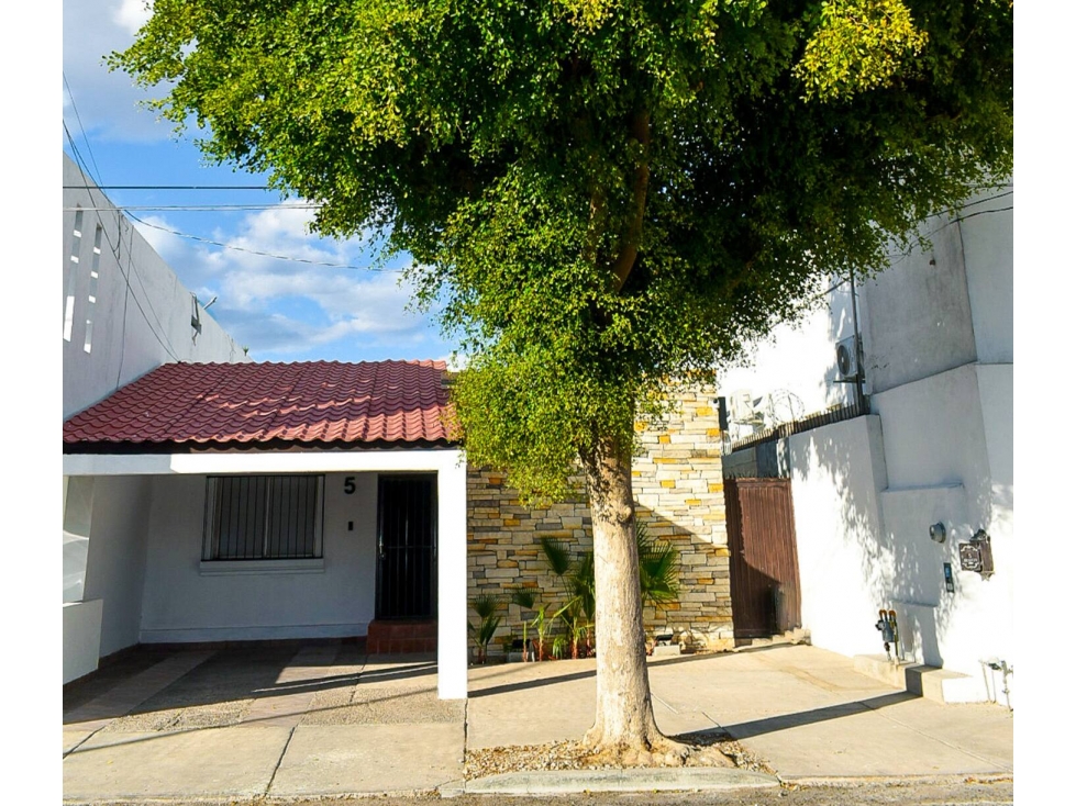 DEPARTAMENTO en RENTA Colonia Valle Verde #5