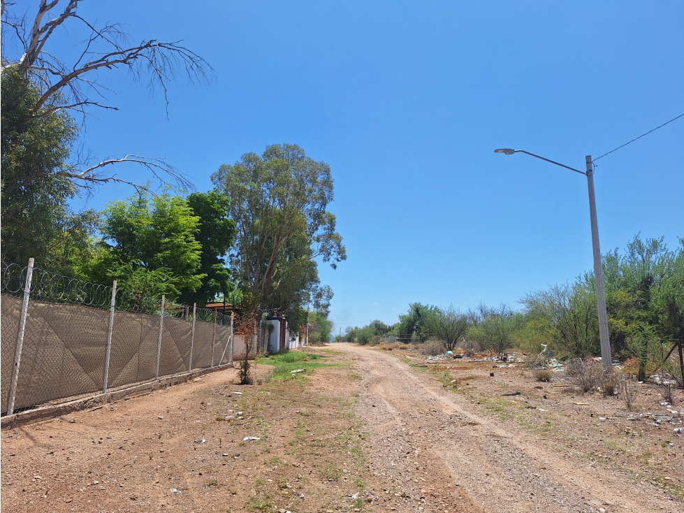 Terreno en Venta Real del Alamito, Sección los Arbolitos - 2