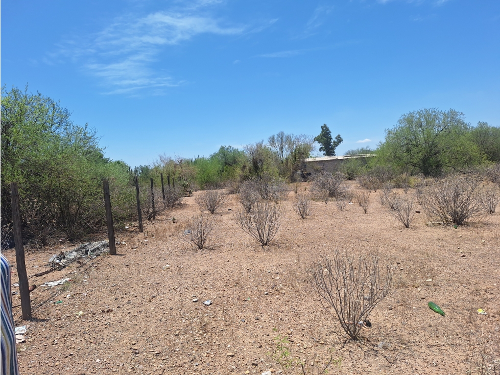 Terreno en Venta Real del Alamito, Sección los Arbolitos - 3