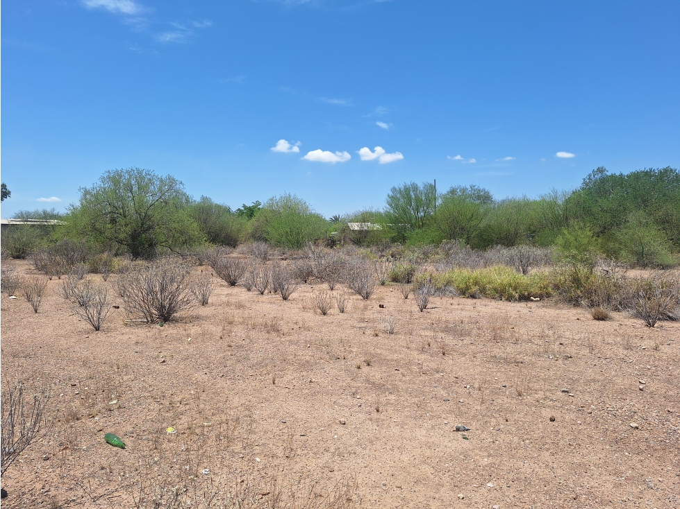 Terreno en Venta Real del Alamito, Sección los Arbolitos - 4
