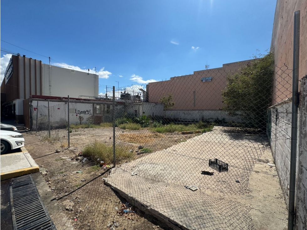 Terreno en RENTA, BLVD. LUIS ENCINAS - 3