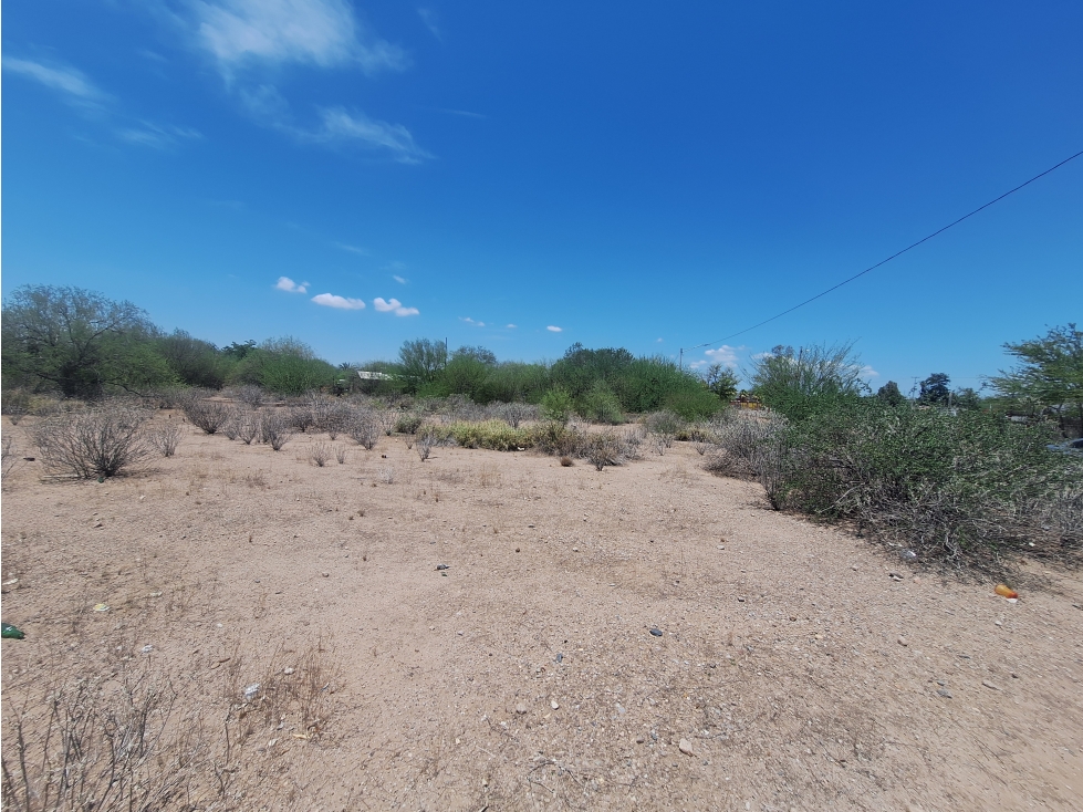 Terreno en Venta Real del Alamito, Sección los Arbolitos - 5