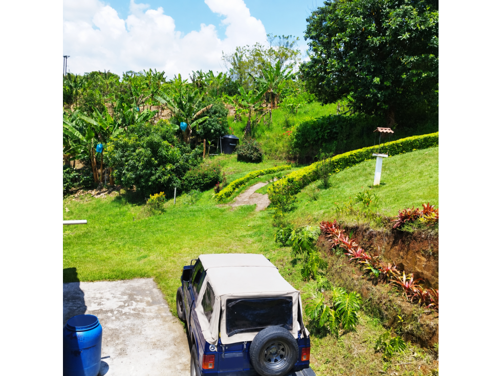 Finca Productiva en Anserma, Caldas