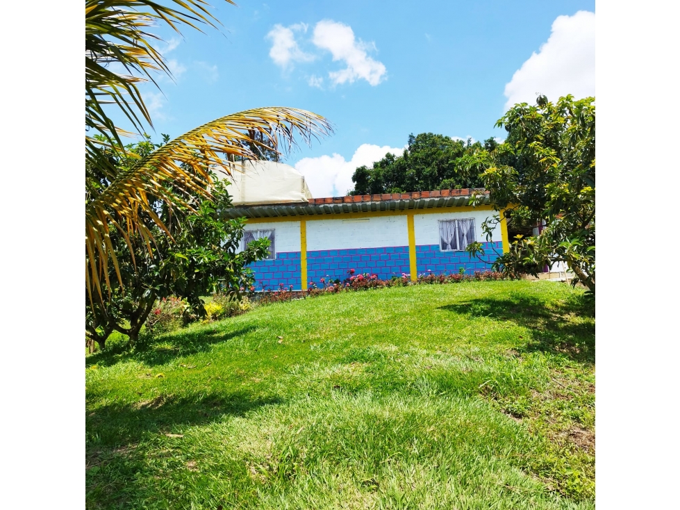 Finca Productiva en Anserma, Caldas — foto 3