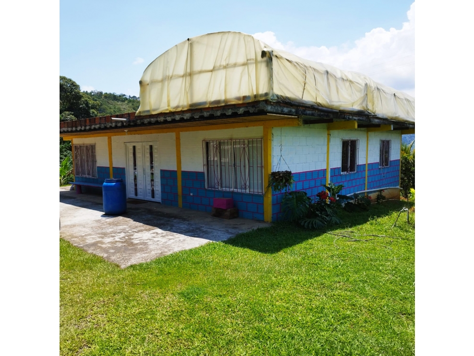Finca Productiva en Anserma, Caldas — foto 5