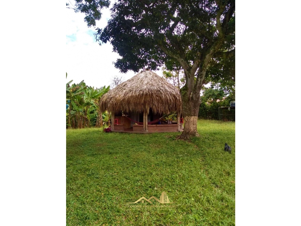 VENTA FINCA CAMPESTRE A 5 MINUTOS DE ARMENIA — foto 6