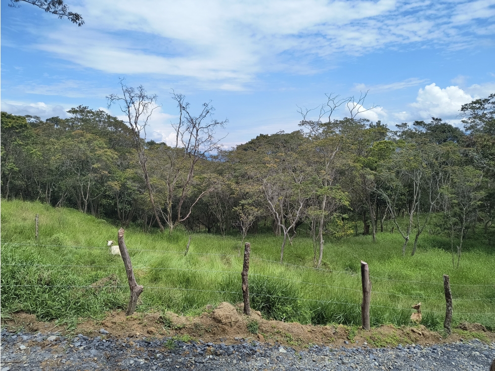 Lote en venta en Puente nacional Santander Area 2.500 metros - 3
