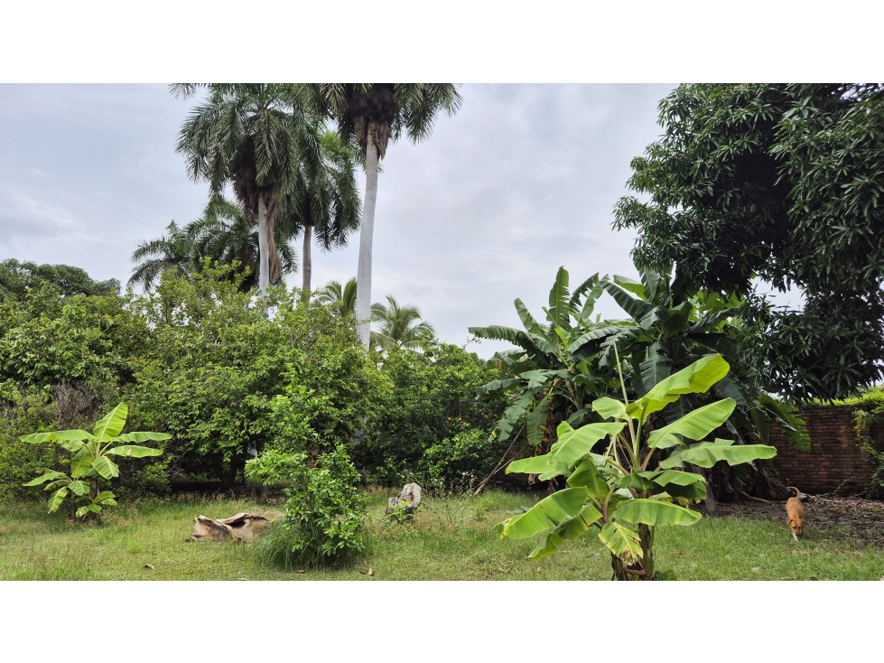 Lote Urbano en Ricaurte Gran Potencial Residencial y Comercial - 3