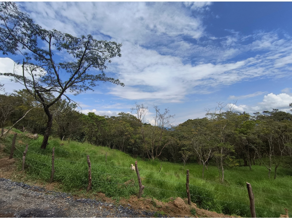 Lote en venta en Puente nacional Santander Area 2.500 metros - 6