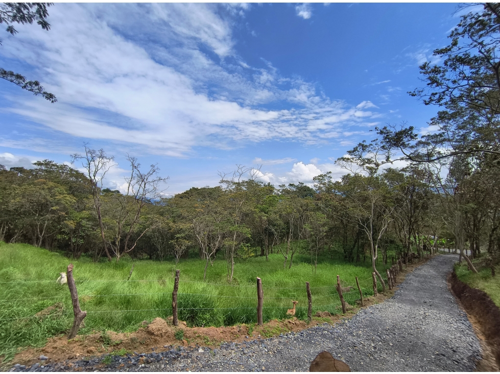 Lote en venta en Puente nacional Santander Area 2.500 metros - 2