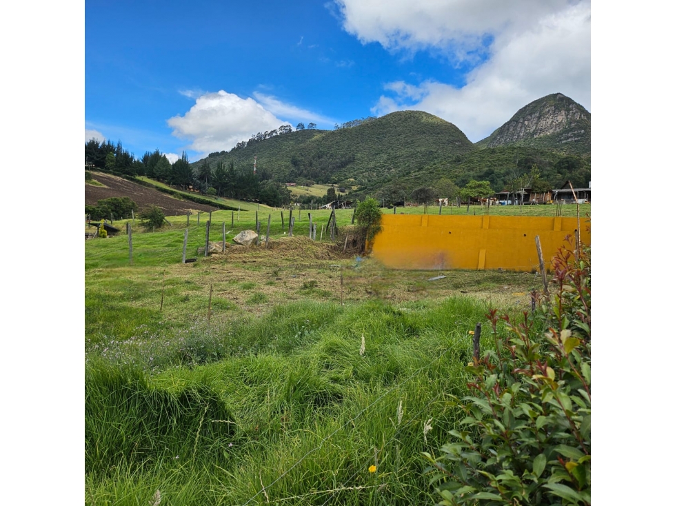 VENDO LOTE EN TABIO VEREDA JUAICA - 3