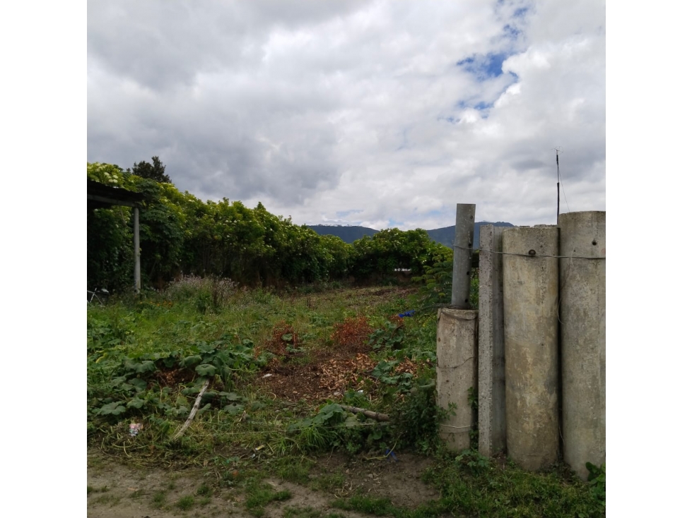 VENDO DOS LOTES EN EL SECTOR LA VIRGEN - TENJO CUNDINAMARCA - 4