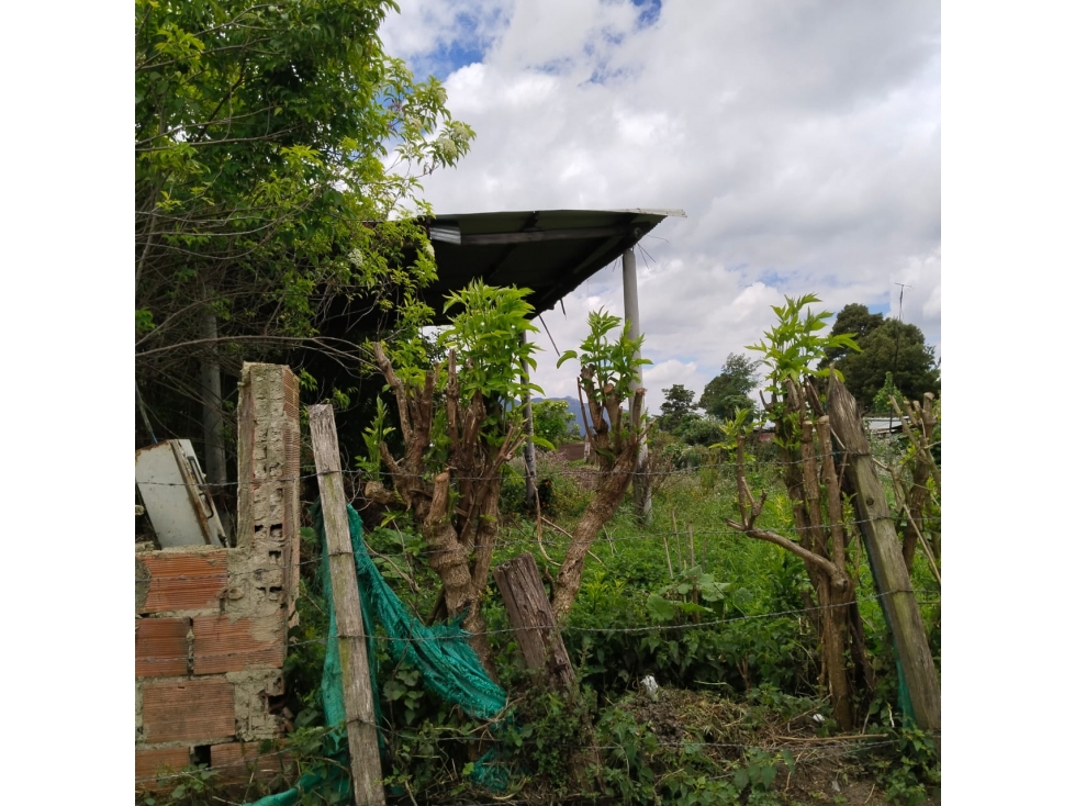 VENDO DOS LOTES EN EL SECTOR LA VIRGEN - TENJO CUNDINAMARCA - 5