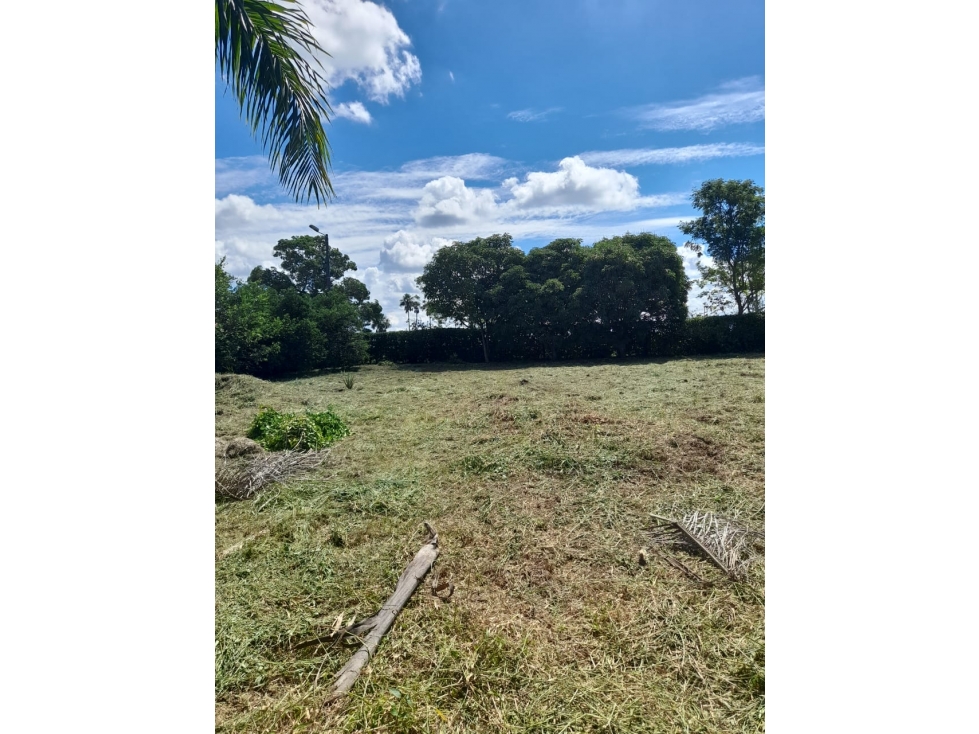 VENDO LOTE EN VILLAVICENCIO - VEREDA LA LLANERITA - 4