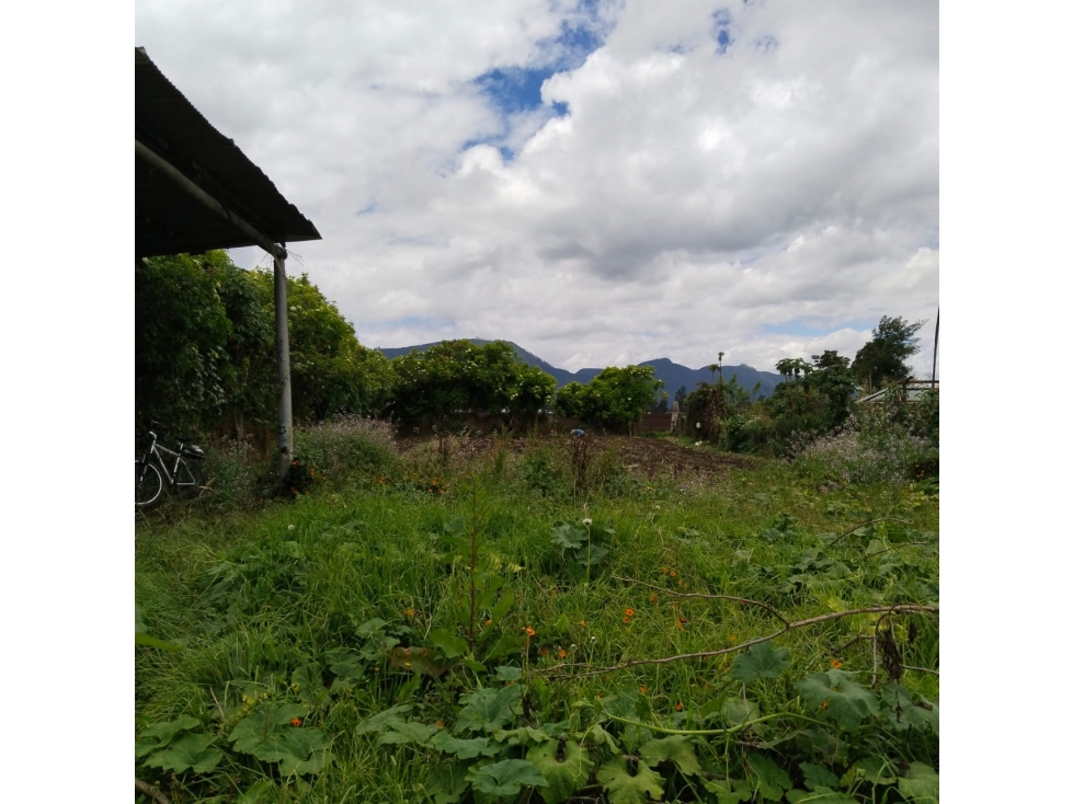 VENDO DOS LOTES EN EL SECTOR LA VIRGEN - TENJO CUNDINAMARCA - 2