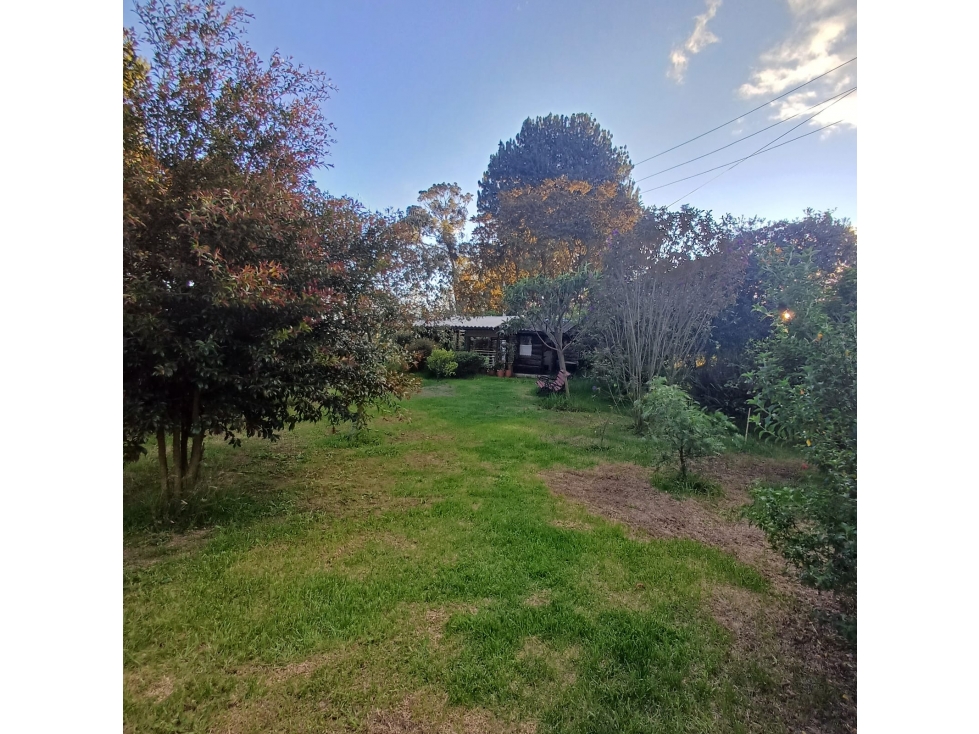 ARRIENDO EN TENJO -FINCA COMERCIAL EN TENJO : EN ZONA GASTRONÓMICA - 5