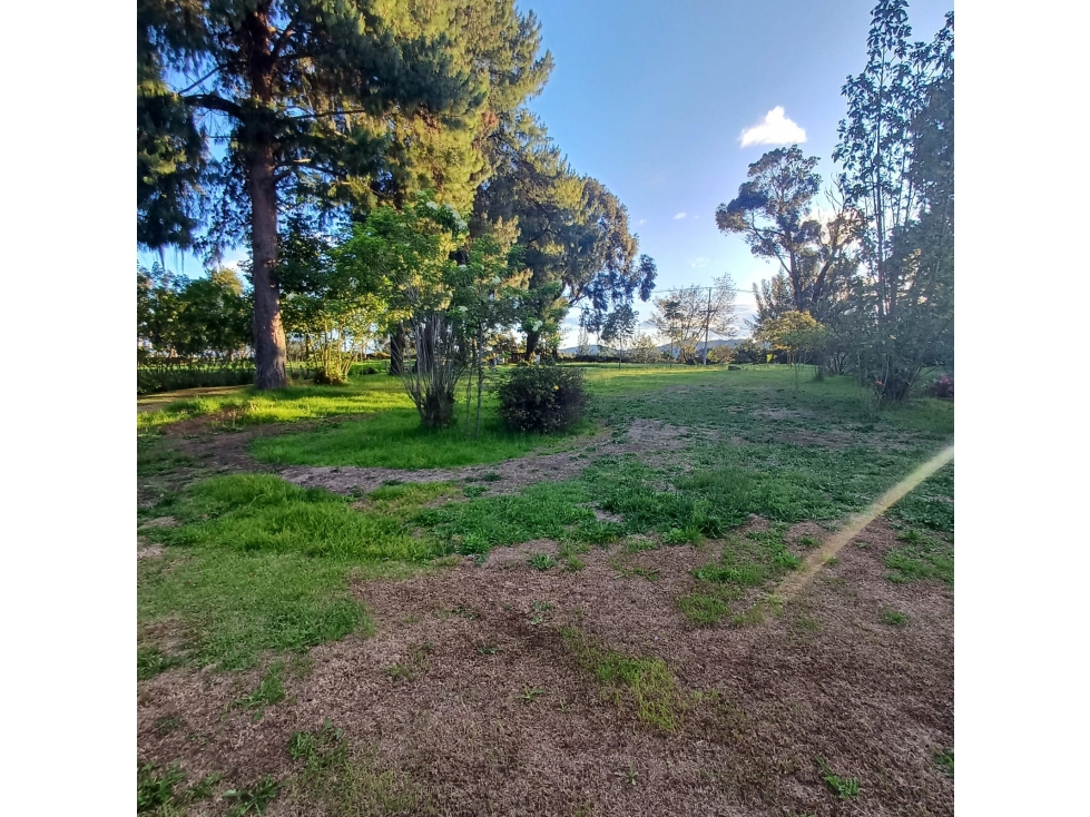 ARRIENDO EN TENJO -FINCA COMERCIAL EN TENJO : EN ZONA GASTRONÓMICA - 4